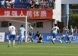 雷速-引人瞩目的足球盛事上演精彩纷呈的战斗