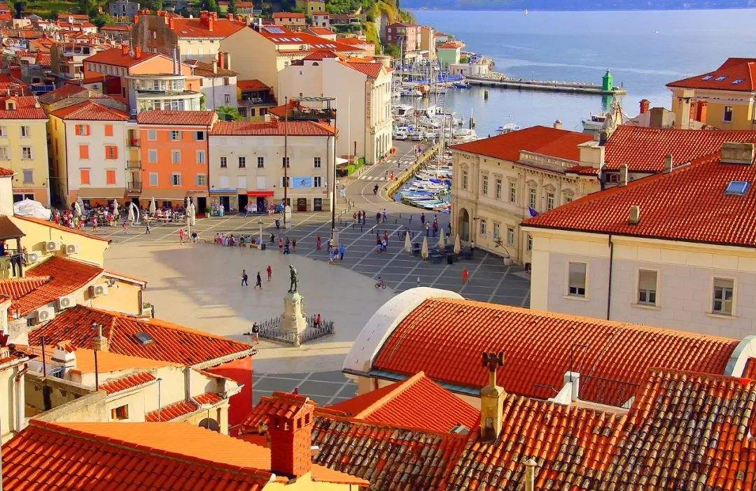 苏格兰队硬碰硬,斯洛文尼亚竭力抵挡 苏格兰队硬碰硬,斯洛文尼亚竭力抵挡